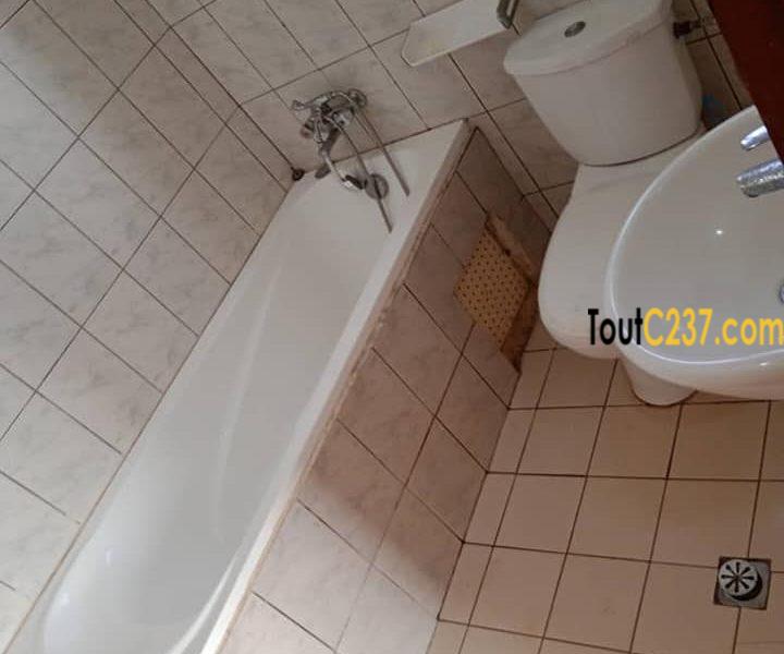 Appartement à louer à Kotto Douala