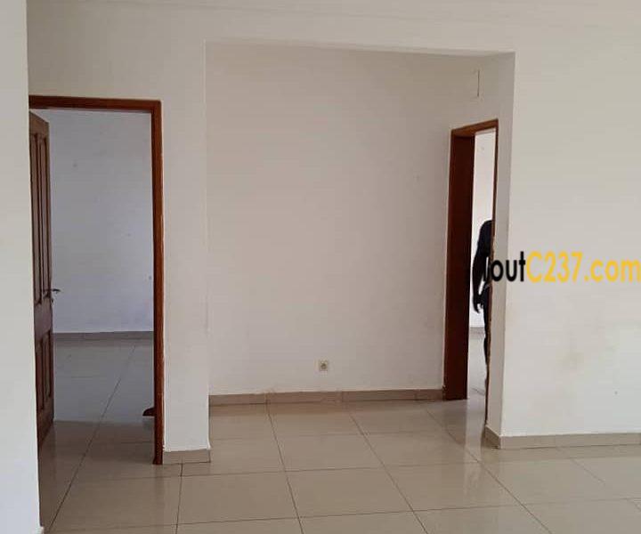 Appartement à louer à Kotto Douala