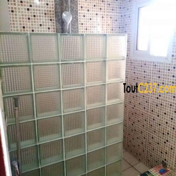 Vaste Studio à louer à Bonapriso, Douala