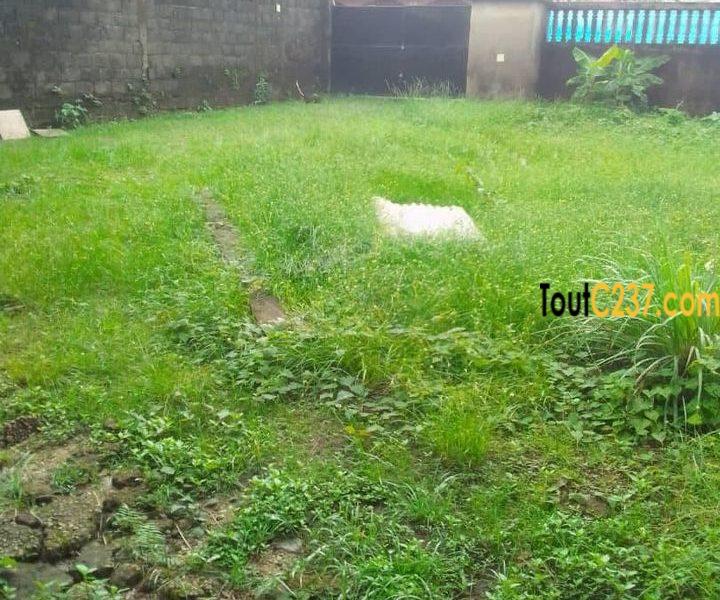 Maison en villa à louer à Logpom, Douala