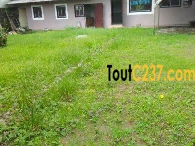 Maison en villa à louer à Logpom, Douala