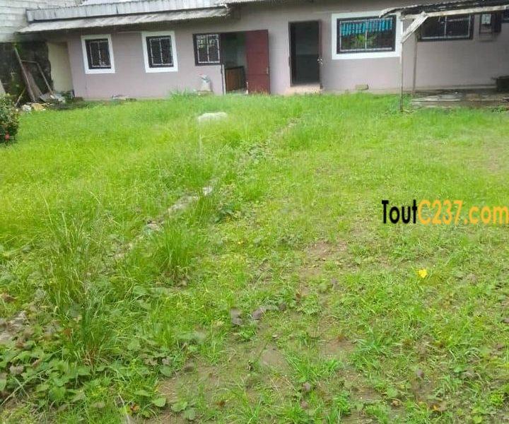 Maison en villa à louer à Logpom, Douala