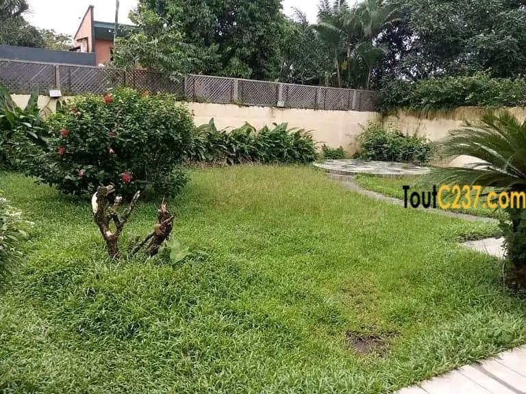 Maison en Villa à louer à Bali, Douala