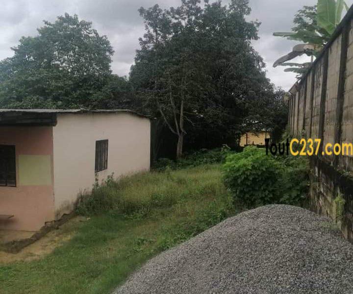 Terrain a vendre a pk14 Douala