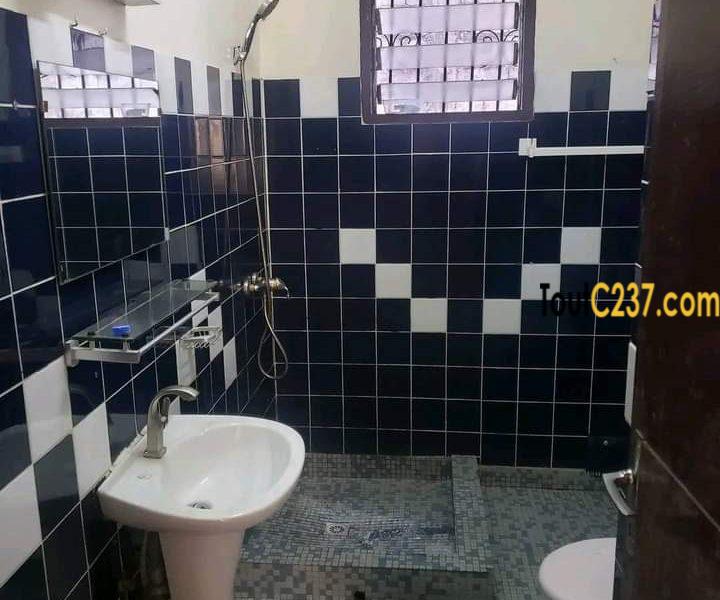 Appartement à louer à Bonanjo Douala