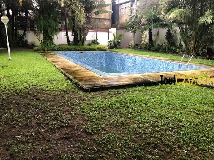 Maison en duplex à louer à Bonapriso