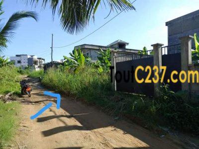 Terrain à vendre à japoma nkolbong