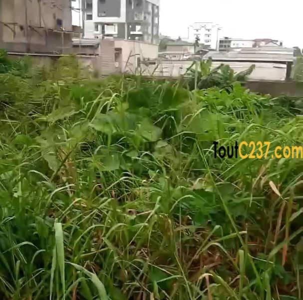 Terrain à louer à Bonamoussadi, Douala