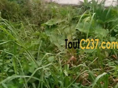 Terrain à louer à Bonamoussadi, Douala