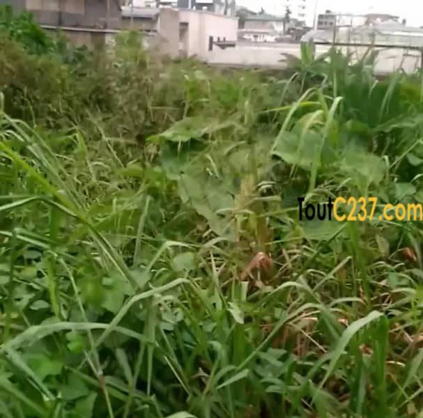 Terrain à louer à Bonamoussadi, Douala