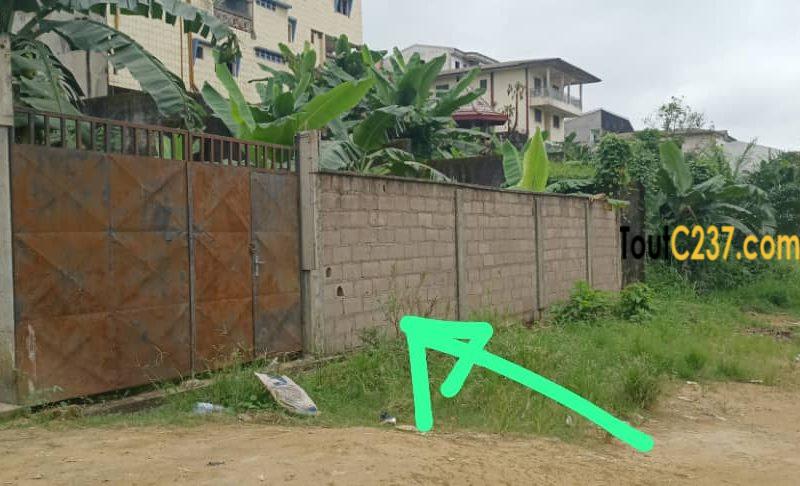 Terrain à vendre à Ndogpassi 3 Douala