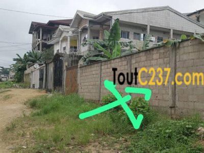 Terrain à vendre à Ndogpassi 3 Douala