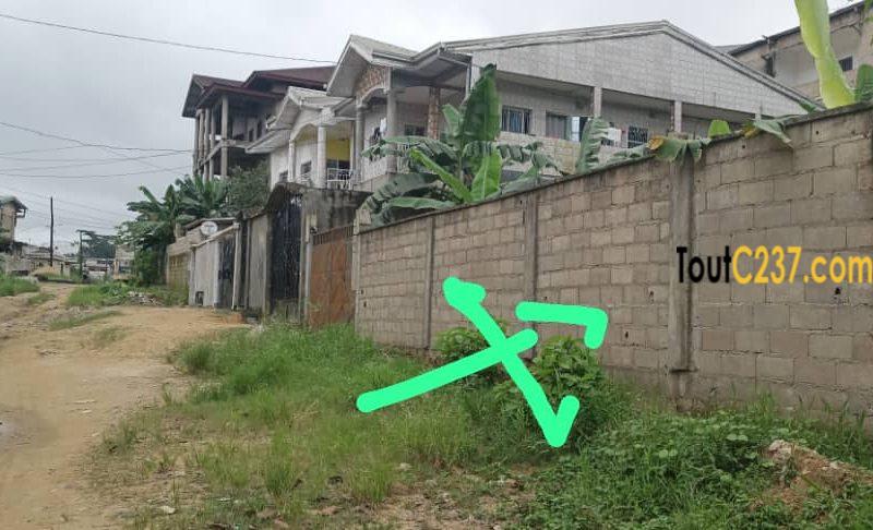 Terrain à vendre à Ndogpassi 3 Douala