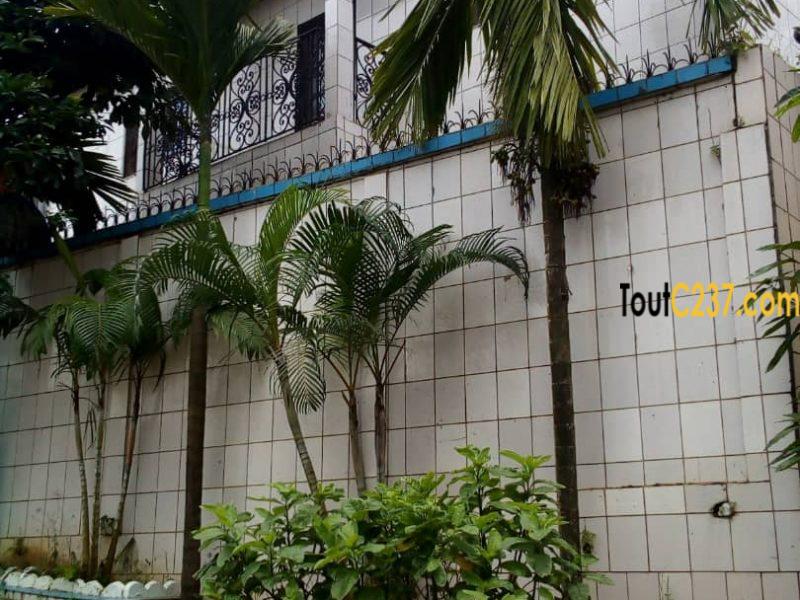 Maison en duplex à vendre à Beedi Douala