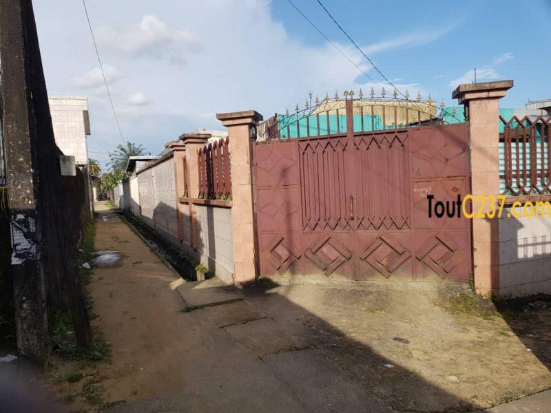 Maison villa à louer a Makepe Douala