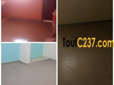 Appartement pour bureau à louer a Akwa Nord