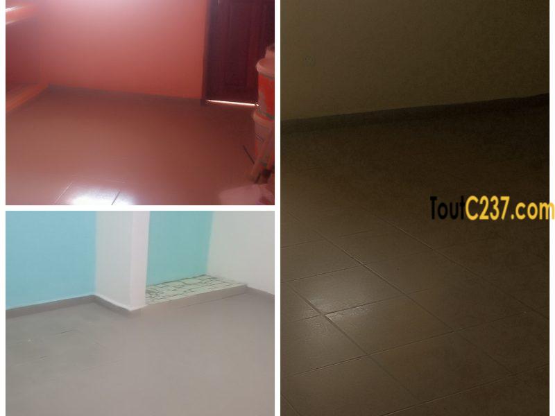 Appartement pour bureau à louer a Akwa Nord