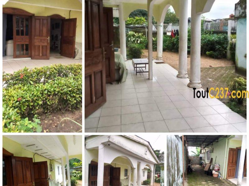 Maison en villa à louer à Kotto Douala