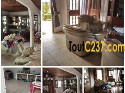 Maison en villa à louer à Kotto Douala
