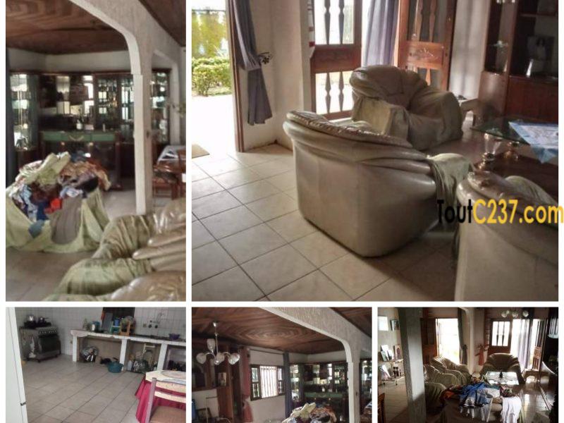 Maison en villa à louer à Kotto Douala