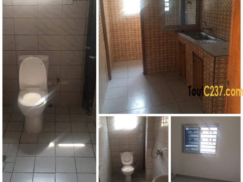 Appartement à louer à Bonapriso Douala