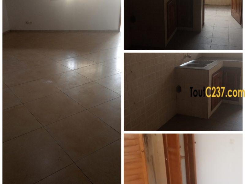 Appartement à louer à Kotto Douala