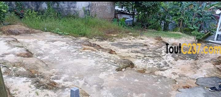 Terrain à vendre a Beedi Douala