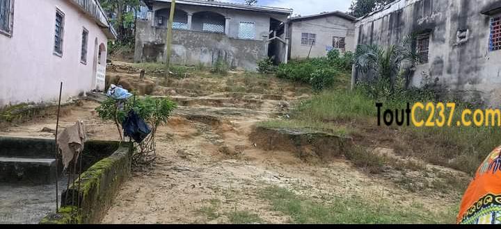 Terrain à vendre a Beedi Douala
