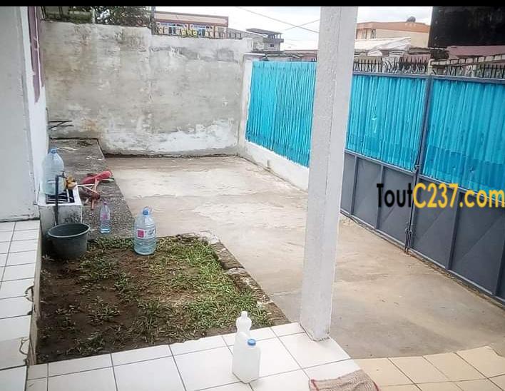Maison en villa à louer à Kotto Douala