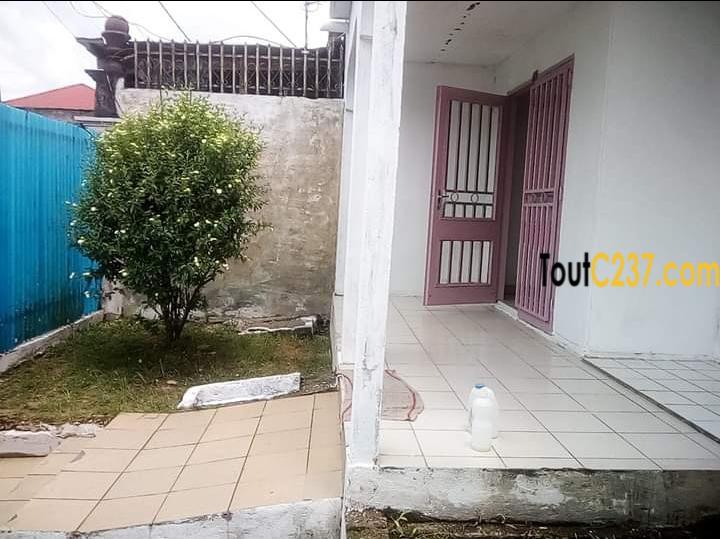 Maison en villa à louer à Kotto Douala