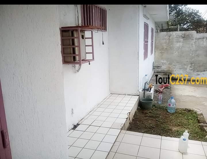 Maison en villa à louer à Kotto Douala