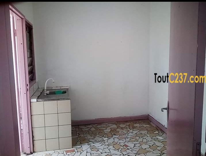 Maison en villa à louer à Kotto Douala