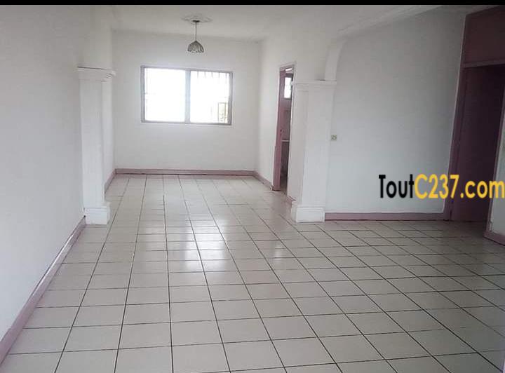 Maison en villa à louer à Kotto Douala