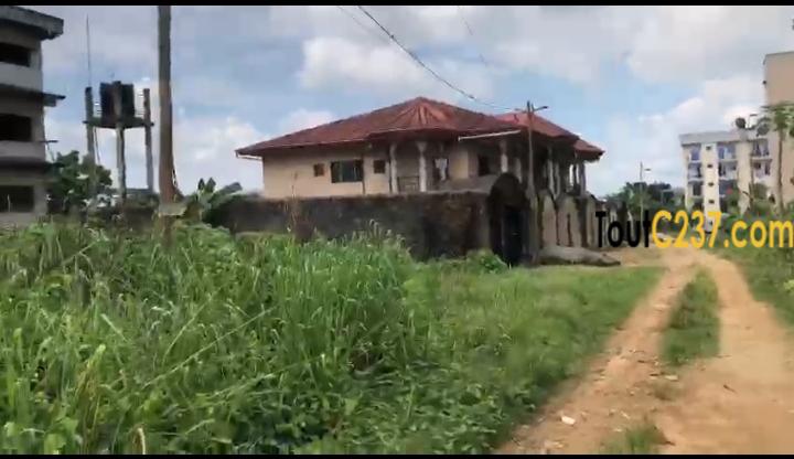 Terrain à vendre à Logbessou Douala