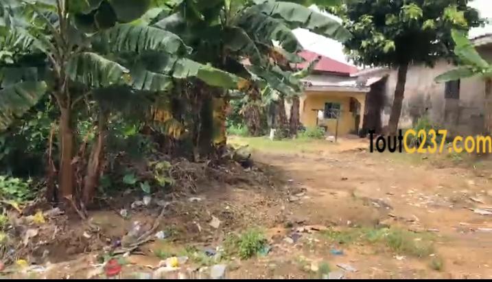 Terrain à vendre à Logpom Douala