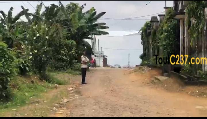 Terrain à vendre à Logpom Douala