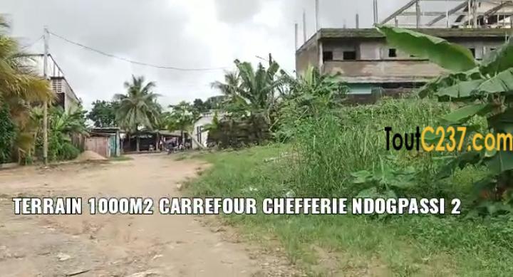 Terrain à vendre a Ndopassi 2 Douala