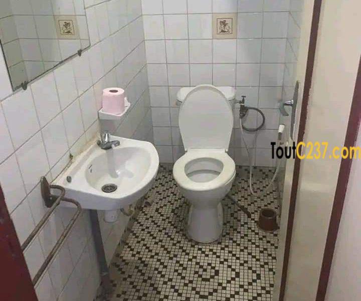 Maison en villa à louer à Bonamoussadi