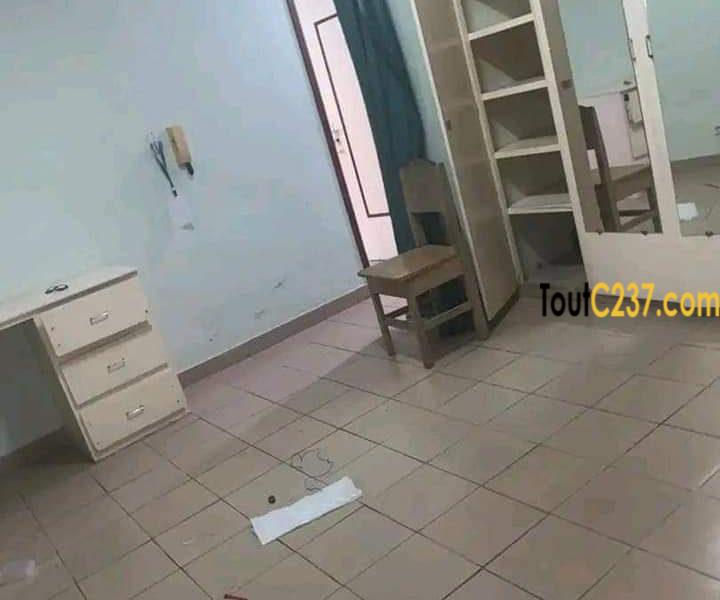 Maison en villa à louer à Bonamoussadi