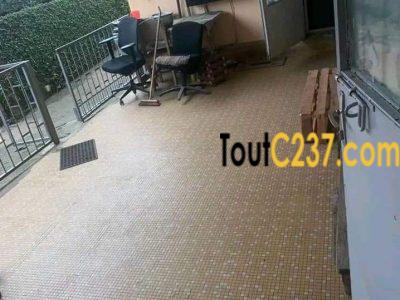 Maison en villa à louer à Bonamoussadi