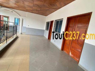 Appartement à louer à Bonamoussadi