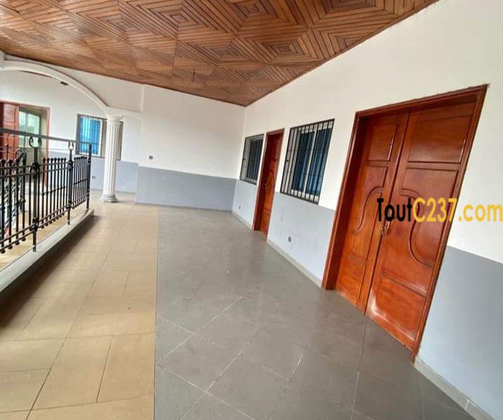 Appartement à louer à Bonamoussadi