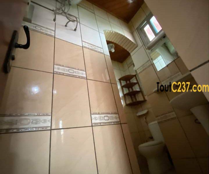 Appartement à louer à Bonamoussadi