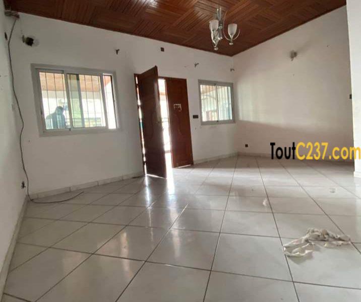 Appartement à louer à Bonamoussadi