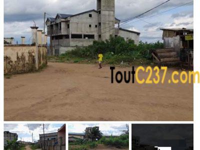 Terrain à vendre à Lendi, Douala