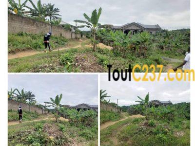 Terrain à vendre à Lendi, Douala
