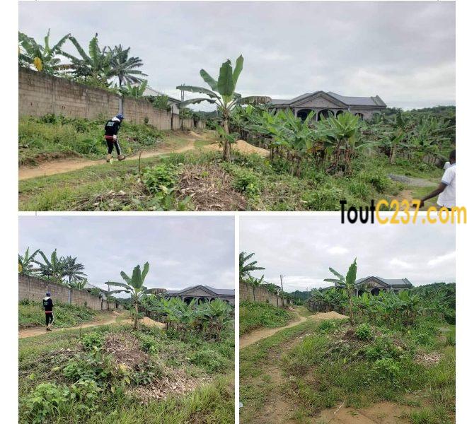 Terrain à vendre à Lendi, Douala