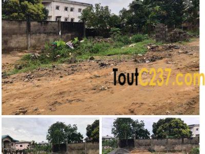 Urgent: Terrain à vendre à Logbessou