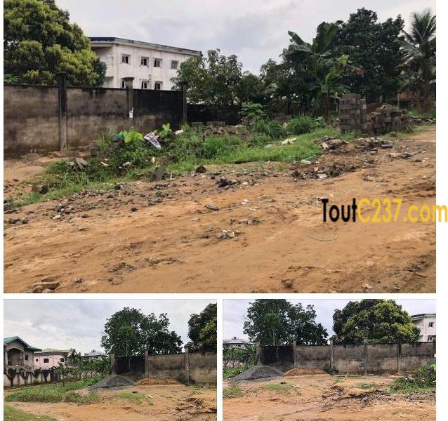 Urgent: Terrain à vendre à Logbessou