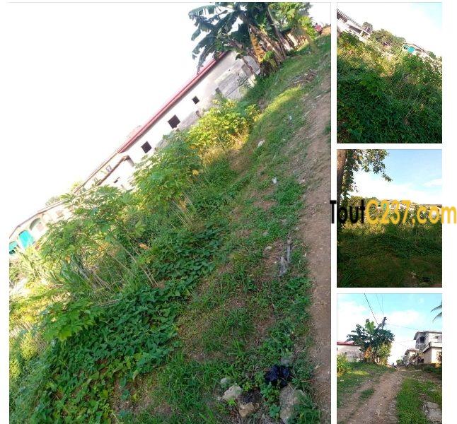 Terrain à vendre a Pk10 Douala